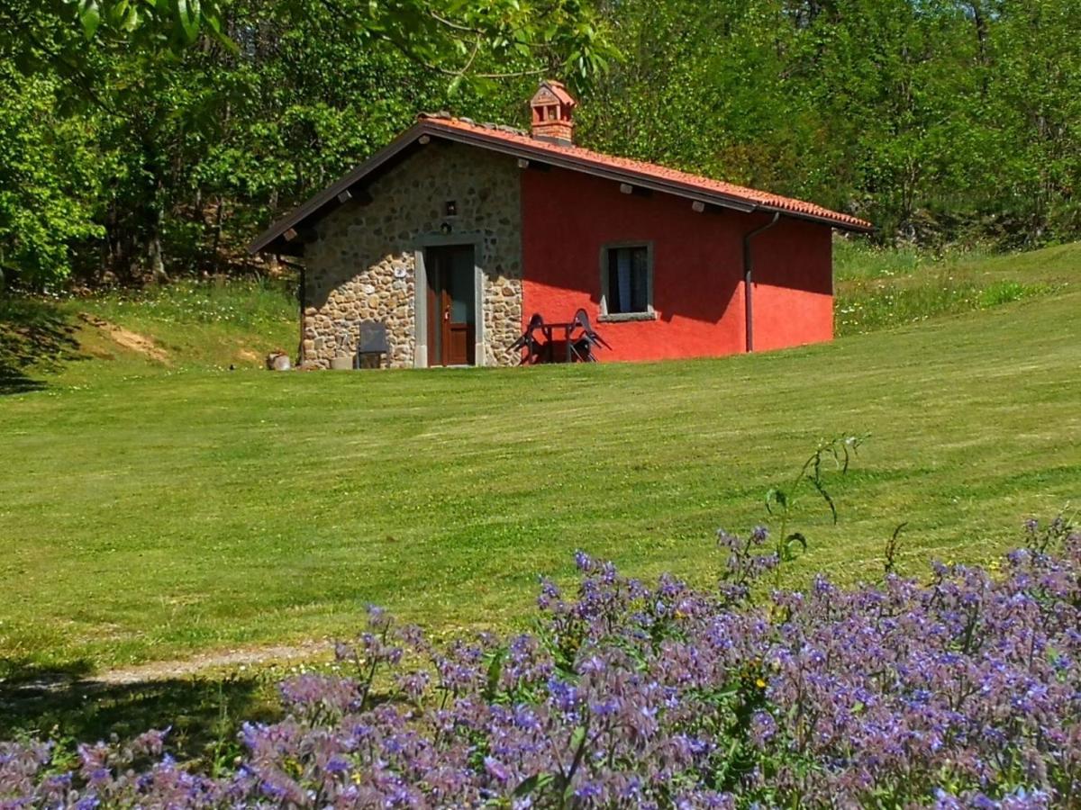 Agriturismo Braccicorti Pieve Fosciana ภายนอก รูปภาพ
