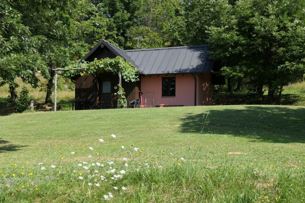 Agriturismo Braccicorti Pieve Fosciana ภายนอก รูปภาพ