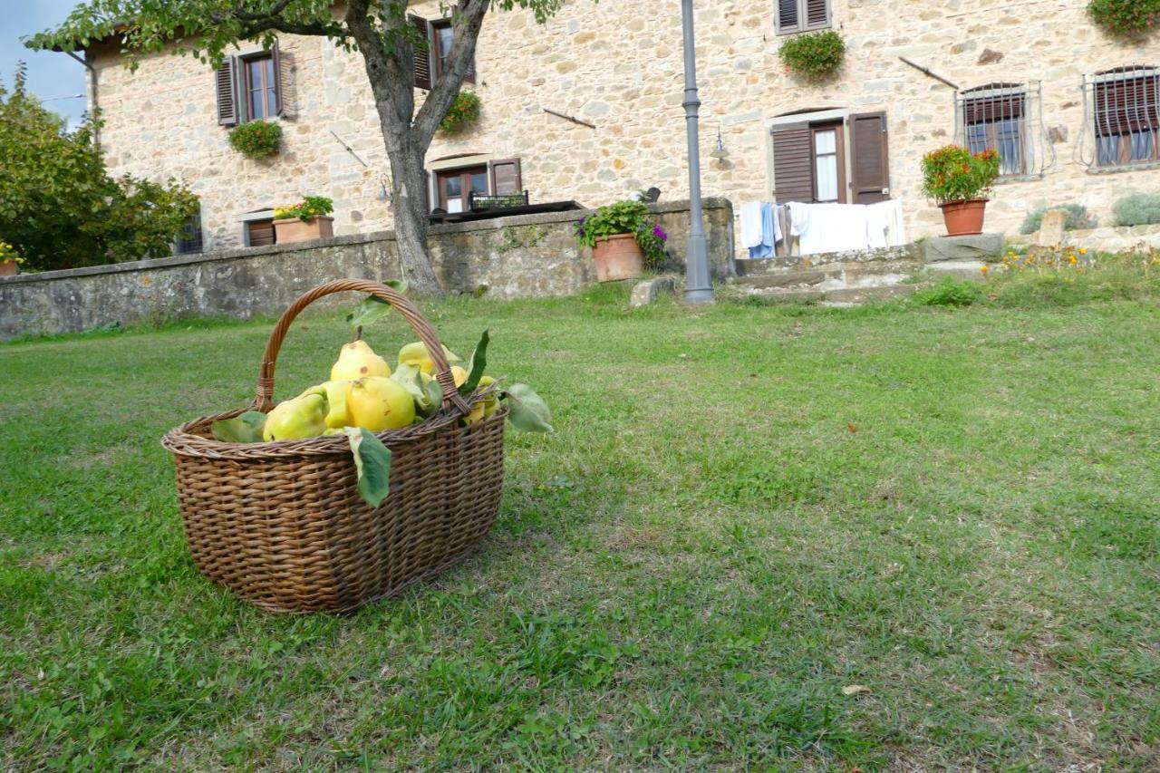 Agriturismo Braccicorti Pieve Fosciana ภายนอก รูปภาพ