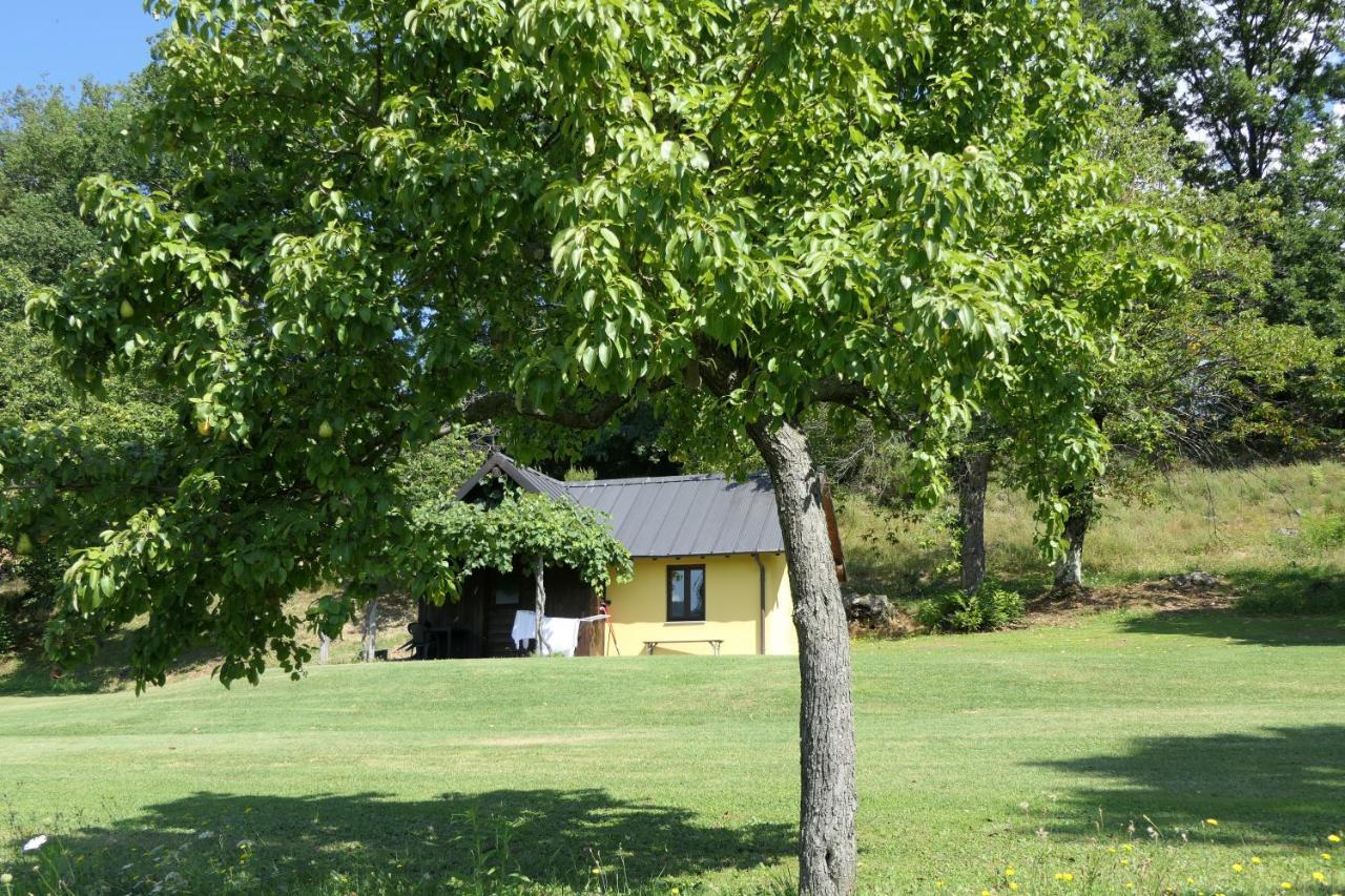 Agriturismo Braccicorti Pieve Fosciana ภายนอก รูปภาพ