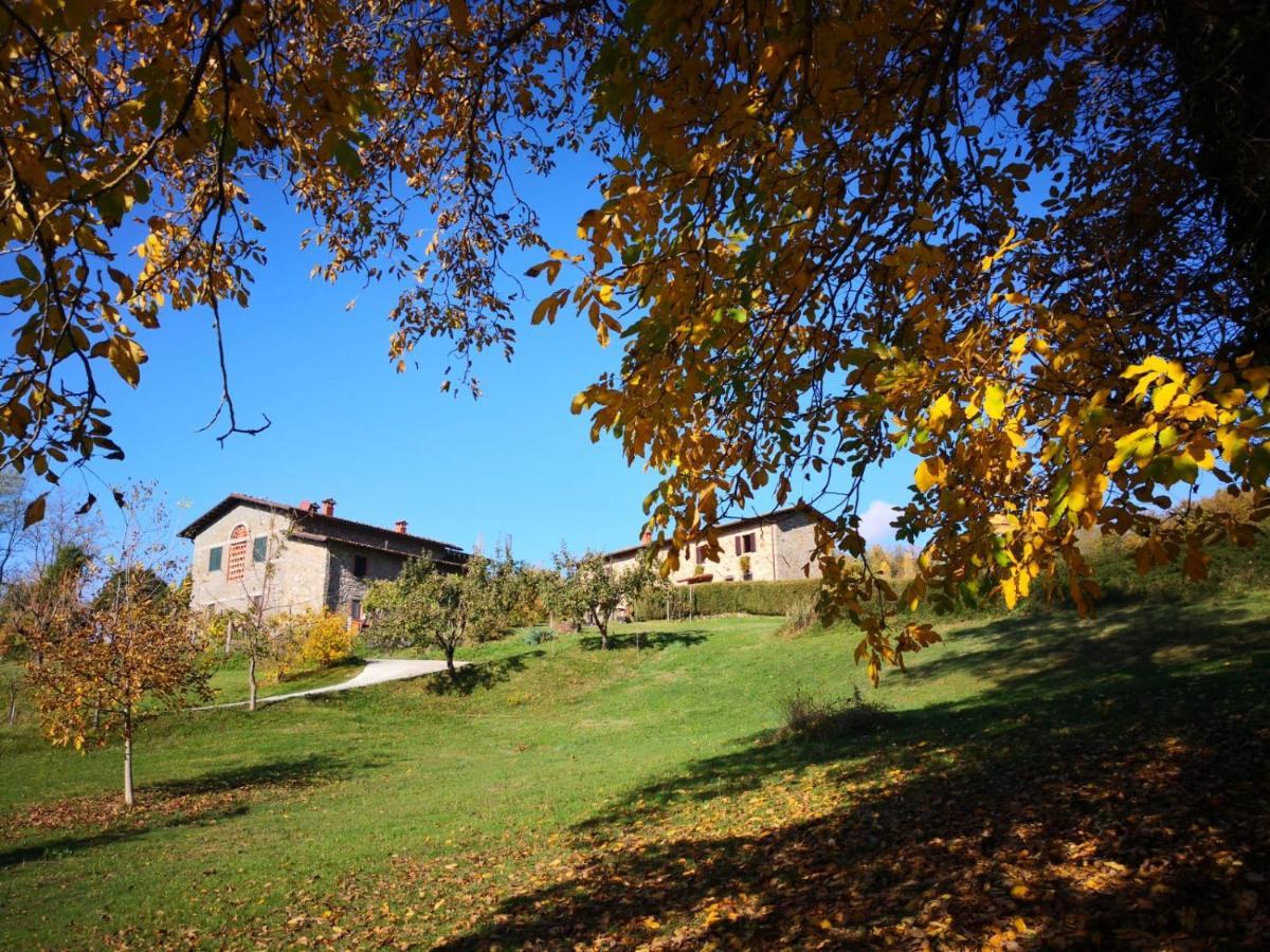 Agriturismo Braccicorti Pieve Fosciana ภายนอก รูปภาพ