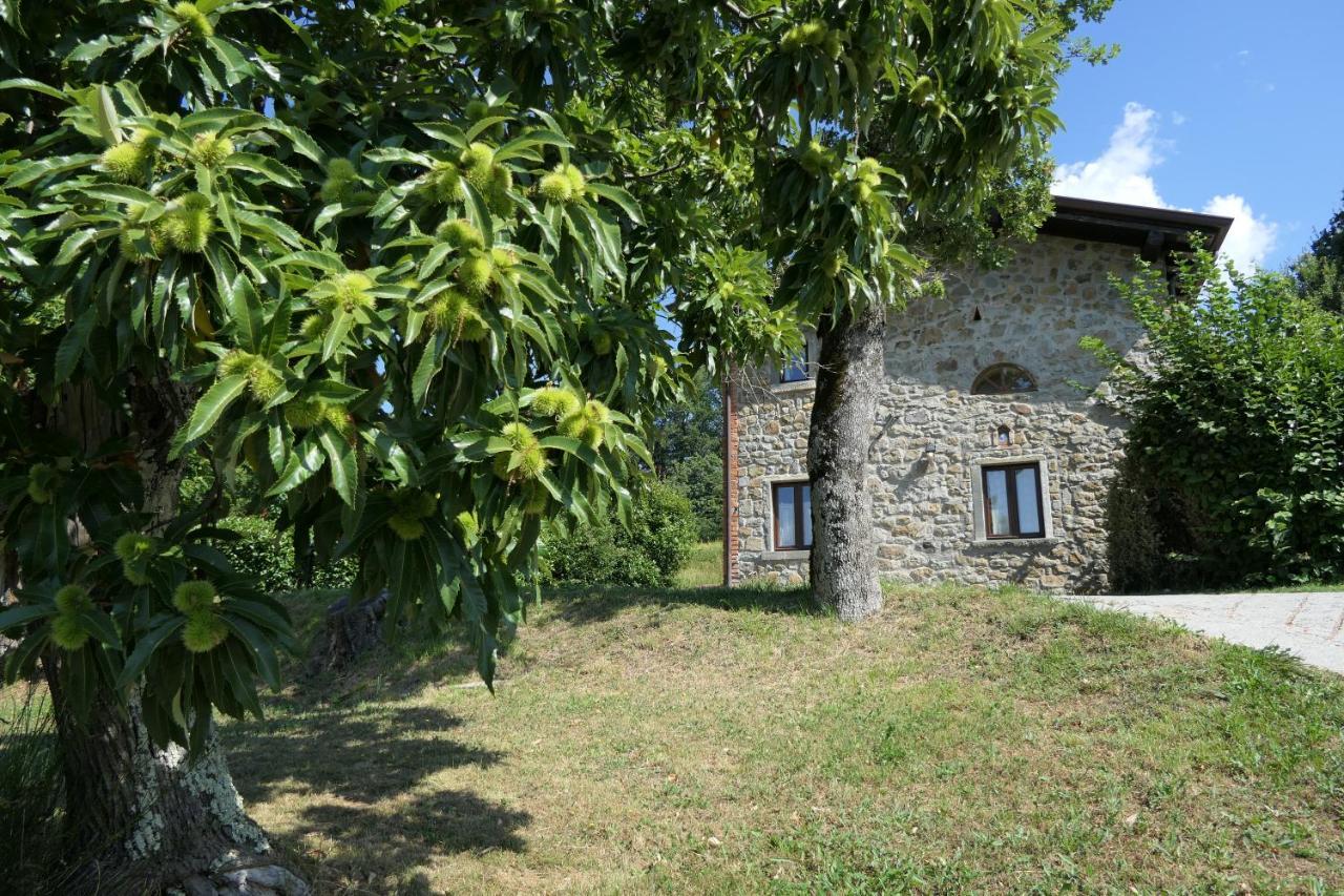 Agriturismo Braccicorti Pieve Fosciana ภายนอก รูปภาพ
