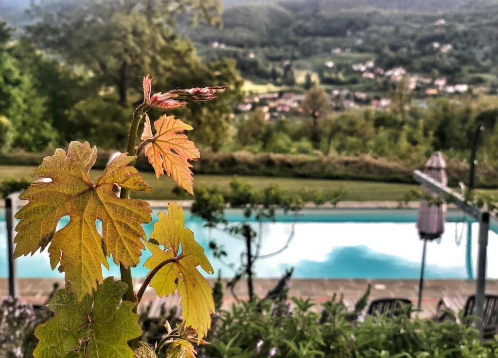Agriturismo Braccicorti Pieve Fosciana ภายนอก รูปภาพ