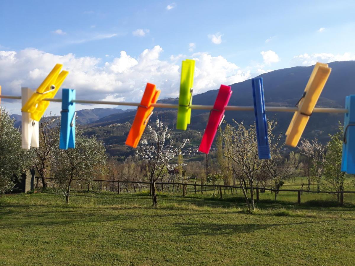 Agriturismo Braccicorti Pieve Fosciana ภายนอก รูปภาพ