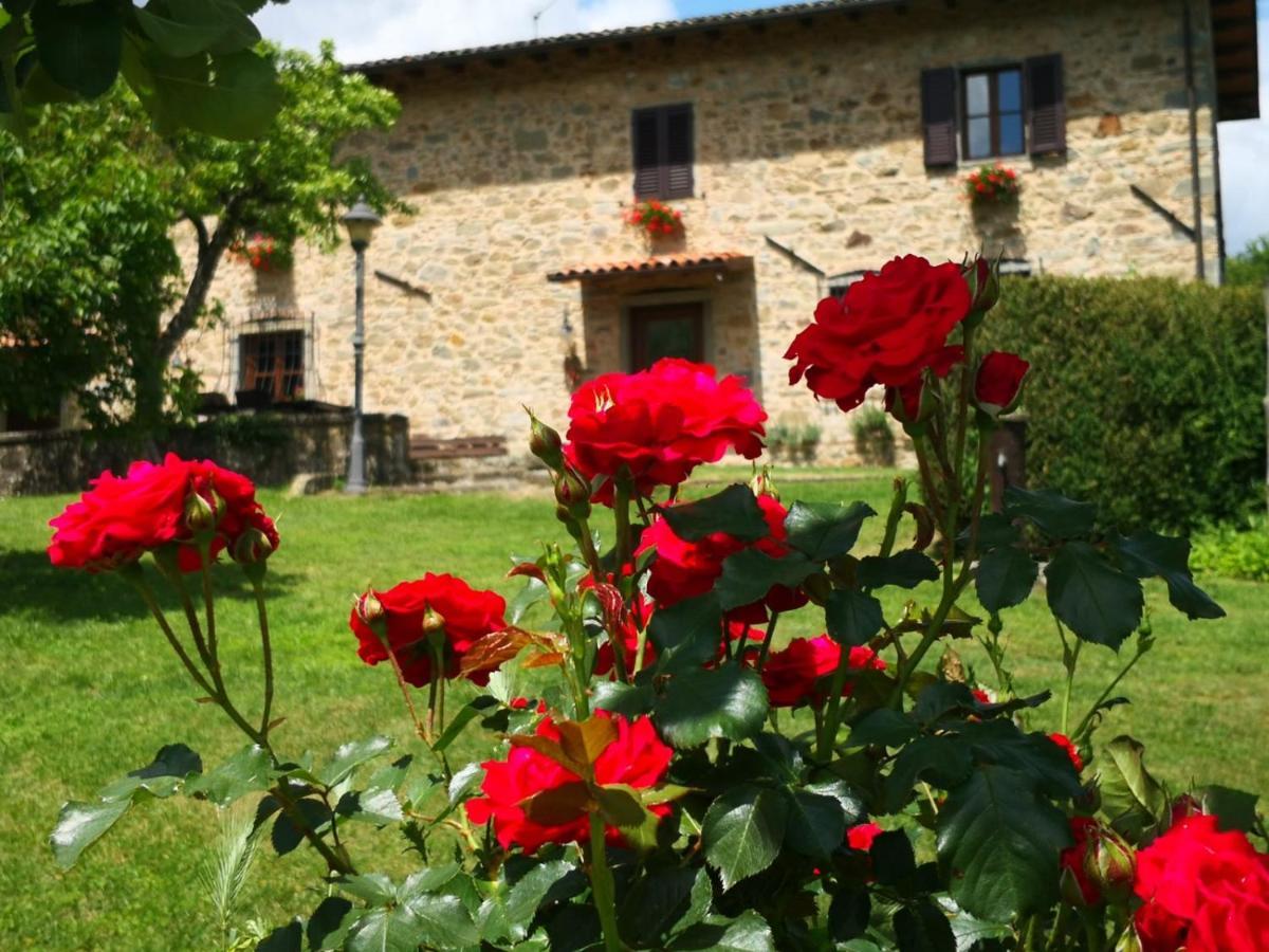 Agriturismo Braccicorti Pieve Fosciana ภายนอก รูปภาพ