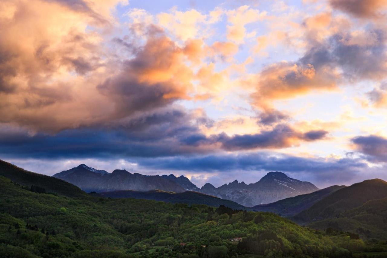 Agriturismo Braccicorti Pieve Fosciana ภายนอก รูปภาพ
