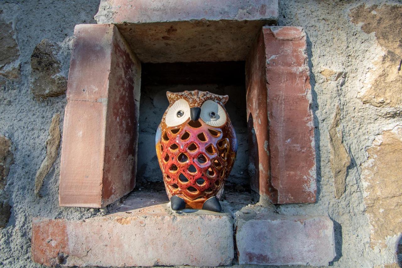 Agriturismo Braccicorti Pieve Fosciana ภายนอก รูปภาพ