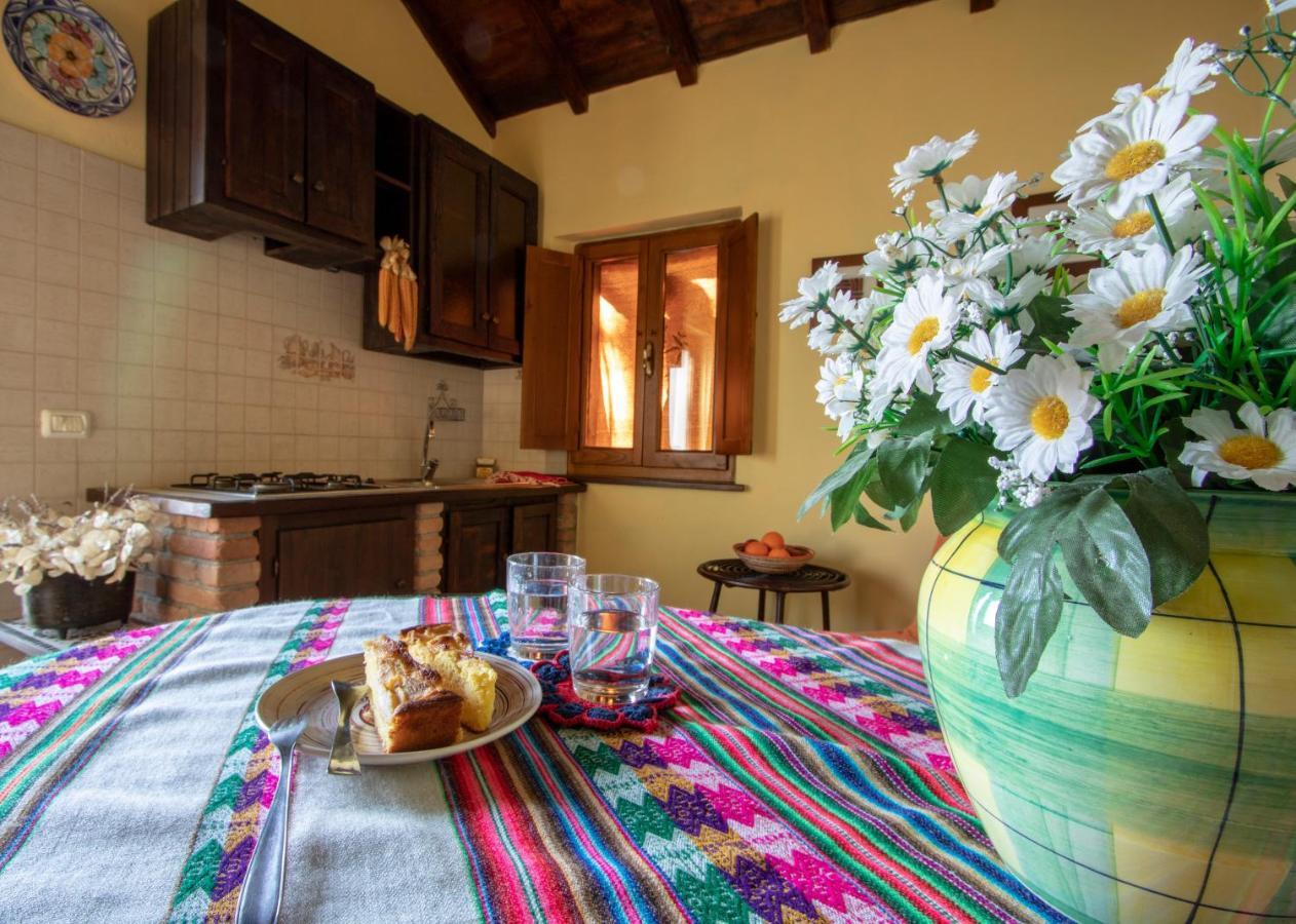 Agriturismo Braccicorti Pieve Fosciana ภายนอก รูปภาพ
