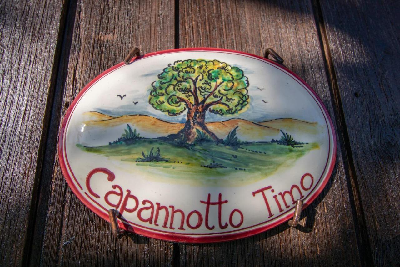 Agriturismo Braccicorti Pieve Fosciana ภายนอก รูปภาพ