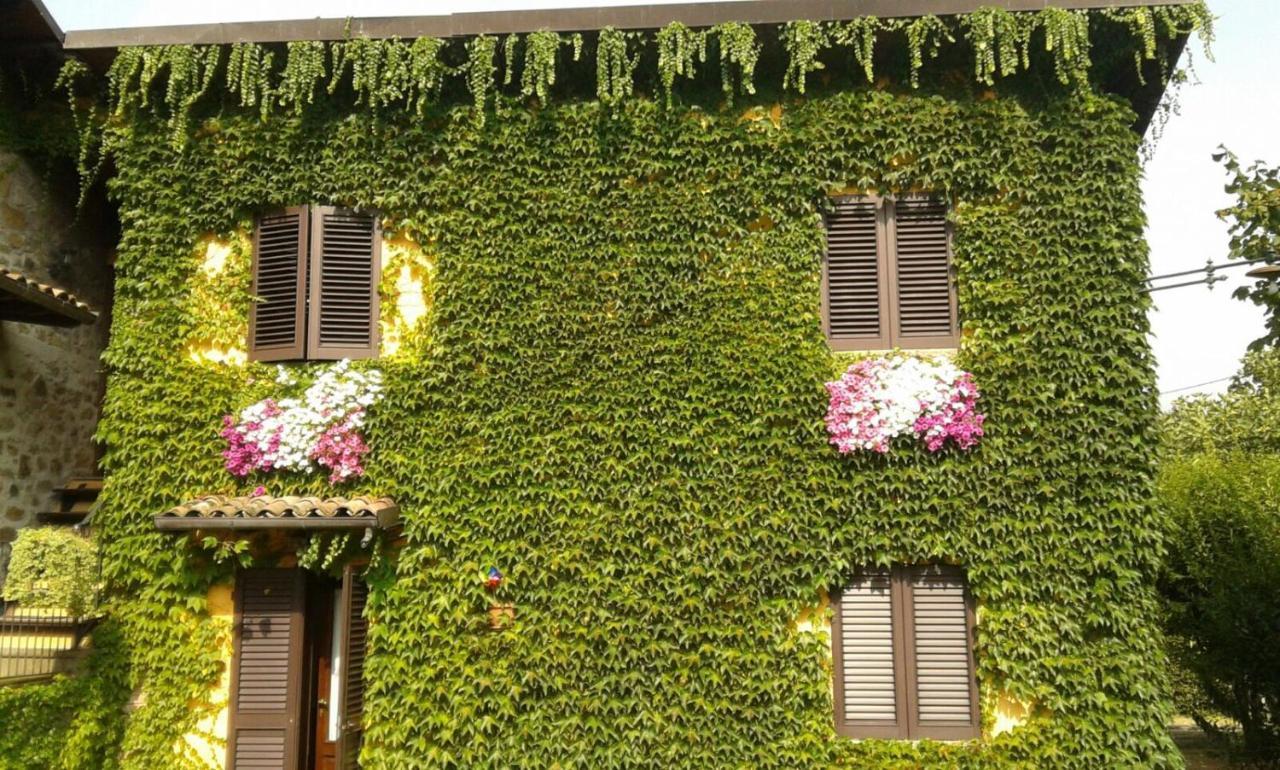 Agriturismo Braccicorti Pieve Fosciana ภายนอก รูปภาพ