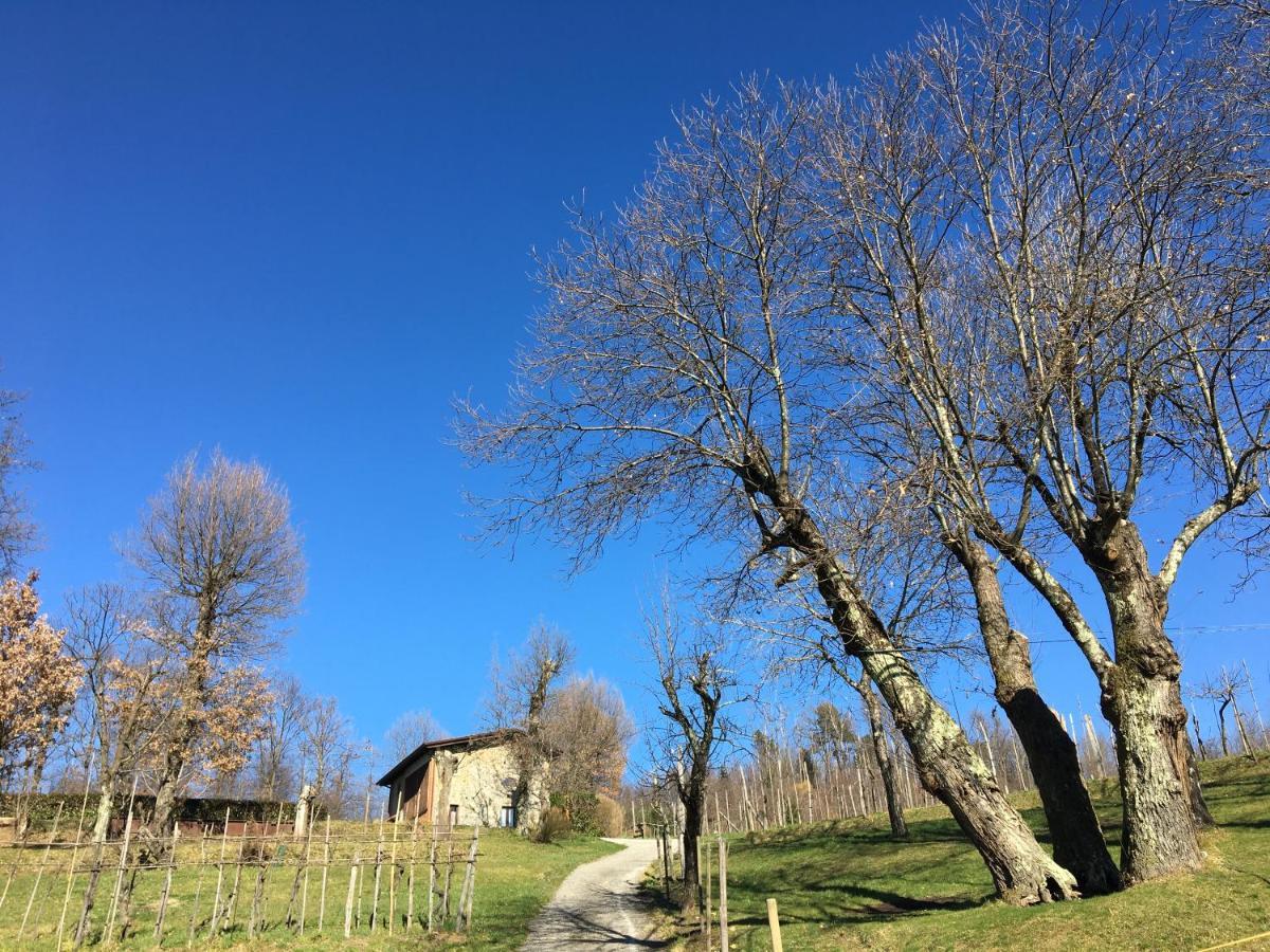 Agriturismo Braccicorti Pieve Fosciana ภายนอก รูปภาพ