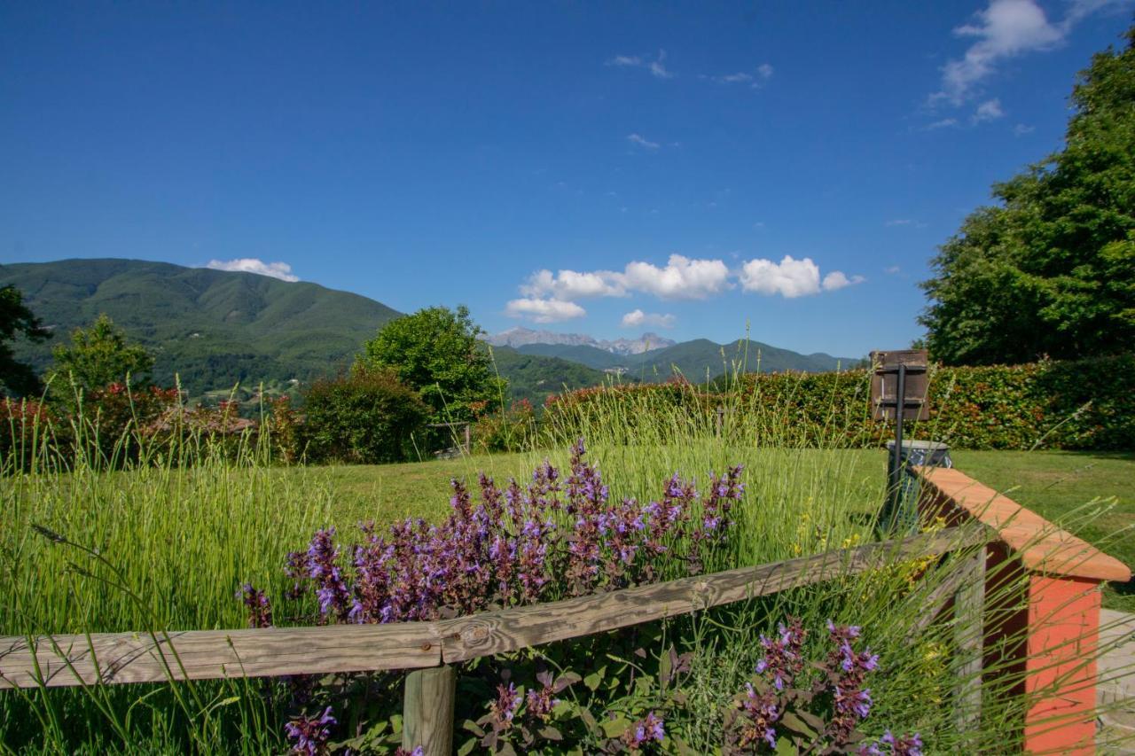 Agriturismo Braccicorti Pieve Fosciana ภายนอก รูปภาพ